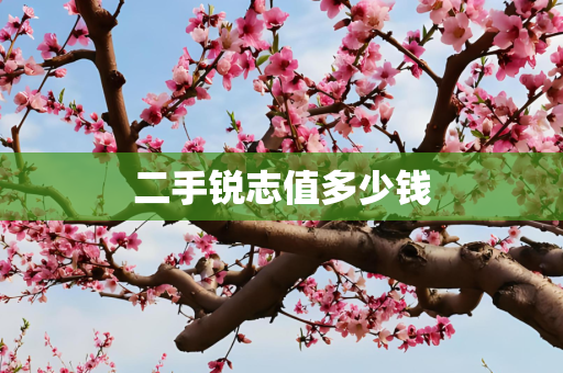 二手锐志值多少钱