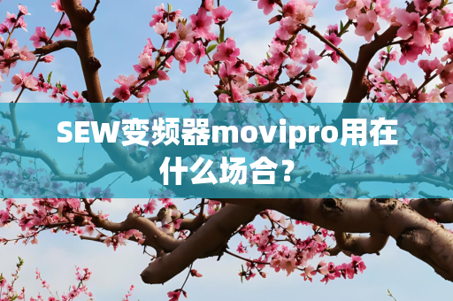 SEW变频器movipro用在什么场合？