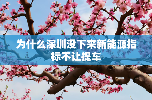 为什么深圳没下来新能源指标不让提车