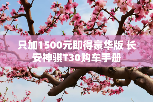 只加1500元即得豪华版 长安神骐T30购车手册