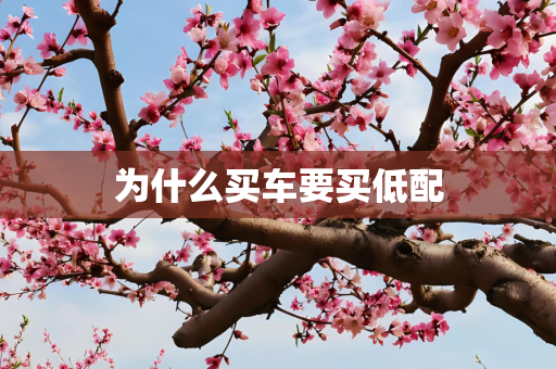 为什么买车要买低配