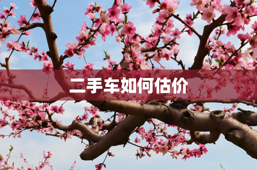 二手车如何估价