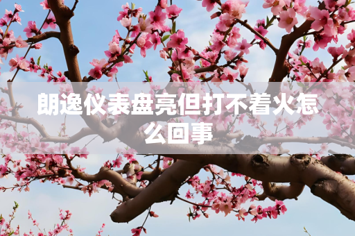 朗逸仪表盘亮但打不着火怎么回事