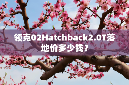 领克02Hatchback2.0T落地价多少钱？
