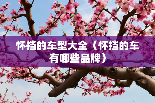 怀挡的车型大全（怀挡的车有哪些品牌）
