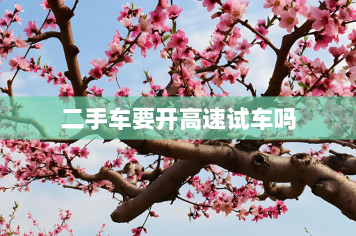 二手车要开高速试车吗
