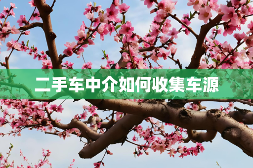 二手车中介如何收集车源