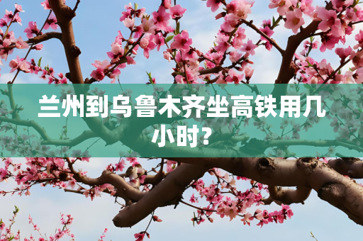 兰州到乌鲁木齐坐高铁用几小时？
