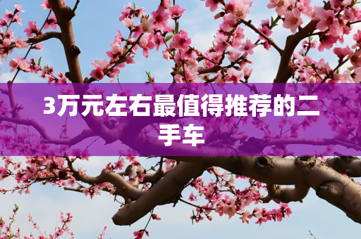 3万元左右最值得推荐的二手车