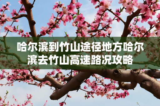 哈尔滨到竹山途径地方哈尔滨去竹山高速路况攻略