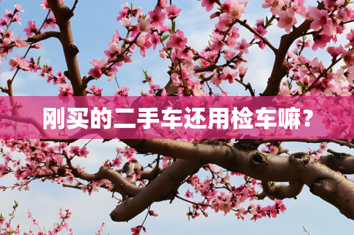 刚买的二手车还用检车嘛？