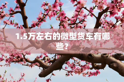 1.5万左右的微型货车有哪些？