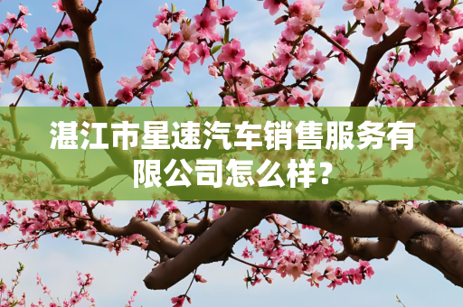 湛江市星速汽车销售服务有限公司怎么样？