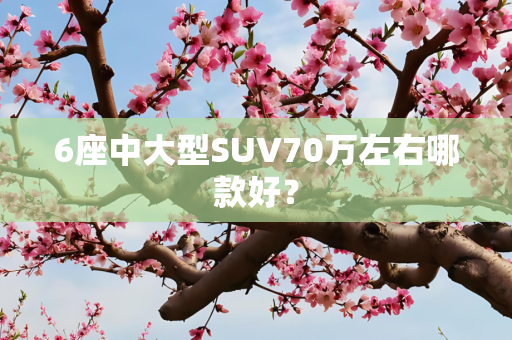 6座中大型SUV70万左右哪款好？