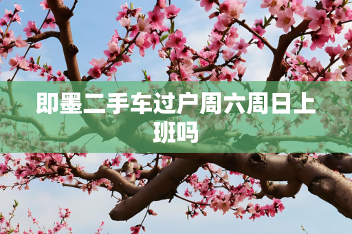 即墨二手车过户周六周日上班吗