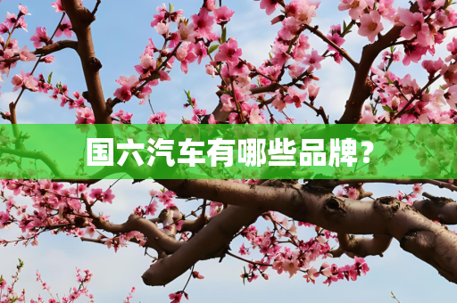 国六汽车有哪些品牌？