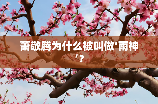 萧敬腾为什么被叫做‘雨神’？