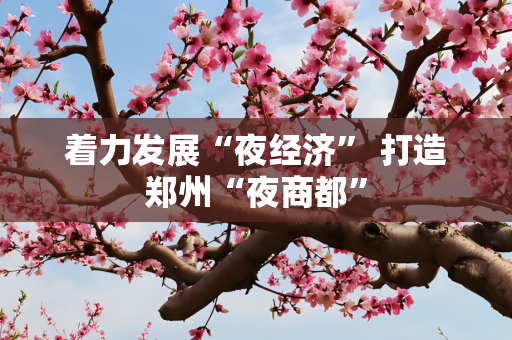 着力发展“夜经济” 打造郑州“夜商都”