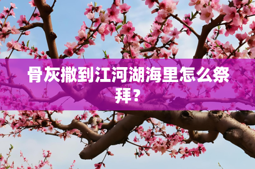 骨灰撒到江河湖海里怎么祭拜？