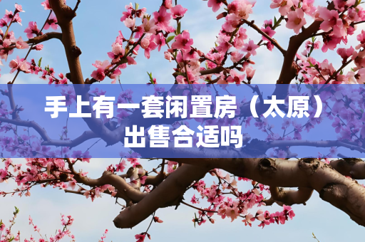 手上有一套闲置房（太原）出售合适吗