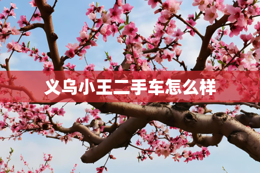 义乌小王二手车怎么样
