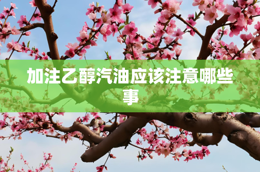 加注乙醇汽油应该注意哪些事