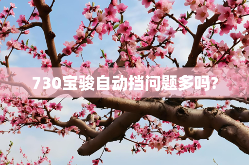 730宝骏自动挡问题多吗?