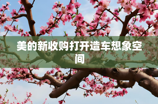 美的新收购打开造车想象空间