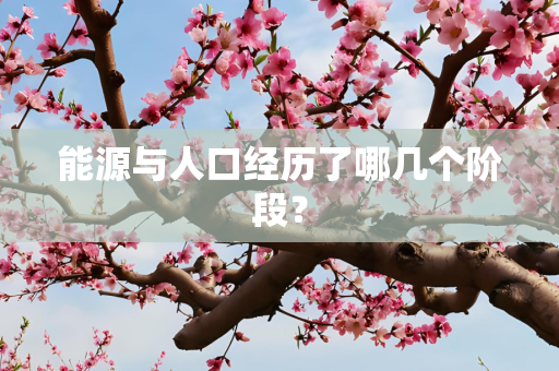 能源与人口经历了哪几个阶段？