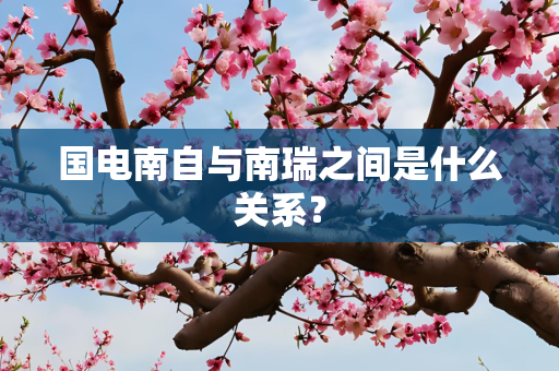 国电南自与南瑞之间是什么关系？