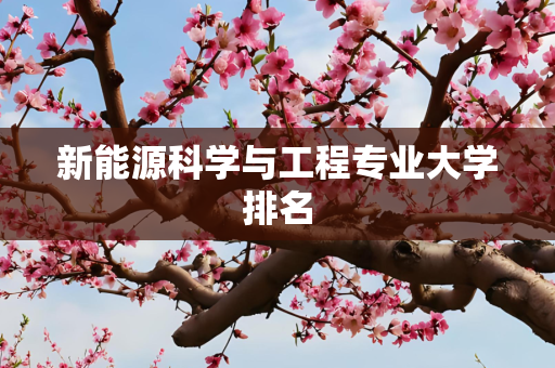 新能源科学与工程专业大学排名