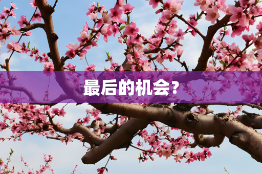 最后的机会？