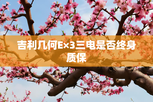吉利几何E×3三电是否终身质保