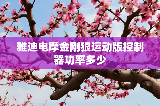 雅迪电摩金刚狼运动版控制器功率多少