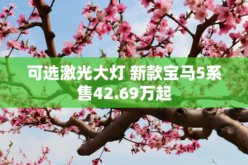 可选激光大灯 新款宝马5系售42.69万起