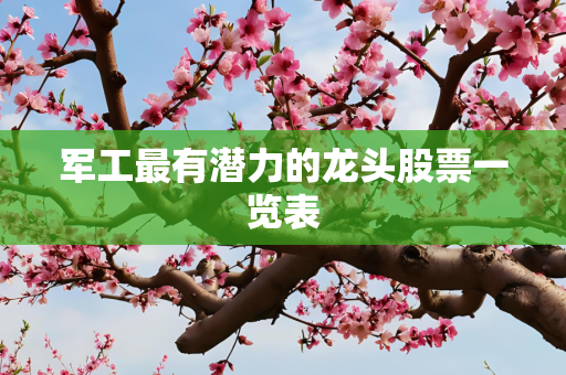 军工最有潜力的龙头股票一览表