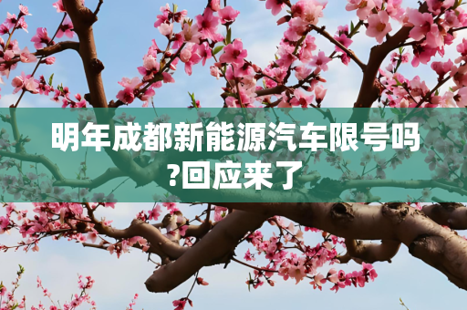明年成都新能源汽车限号吗?回应来了
