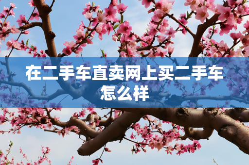 在二手车直卖网上买二手车怎么样