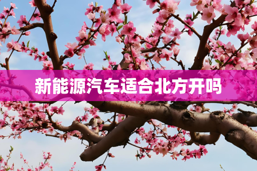 新能源汽车适合北方开吗