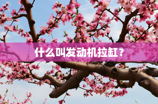 什么叫发动机拉缸？