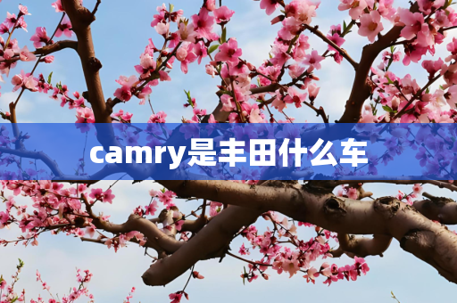 camry是丰田什么车