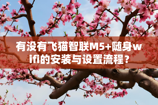 有没有飞猫智联M5+随身wifi的安装与设置流程？