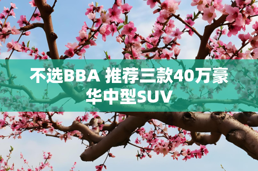不选BBA 推荐三款40万豪华中型SUV