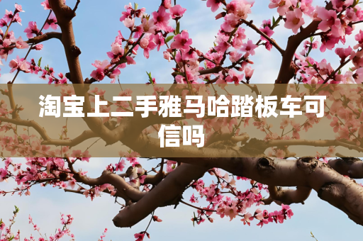 淘宝上二手雅马哈踏板车可信吗