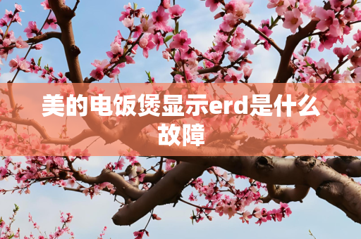 美的电饭煲显示erd是什么故障