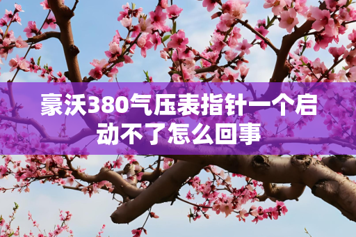 豪沃380气压表指针一个启动不了怎么回事