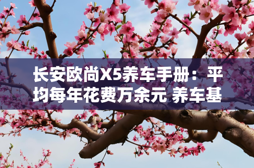 长安欧尚X5养车手册：平均每年花费万余元 养车基本无压力