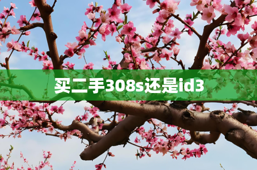 买二手308s还是id3