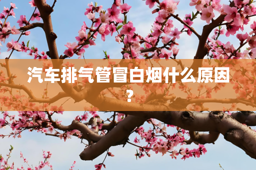 汽车排气管冒白烟什么原因？