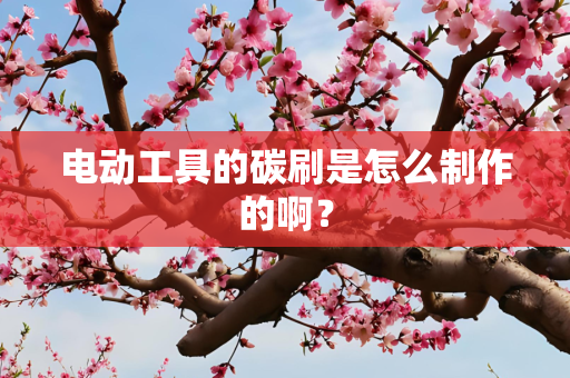 电动工具的碳刷是怎么制作的啊？